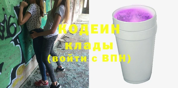 сатива Кулебаки