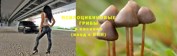 сатива Кулебаки