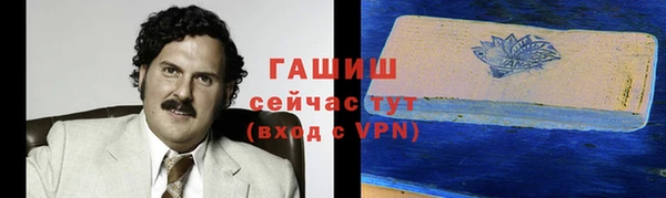 сатива Кулебаки
