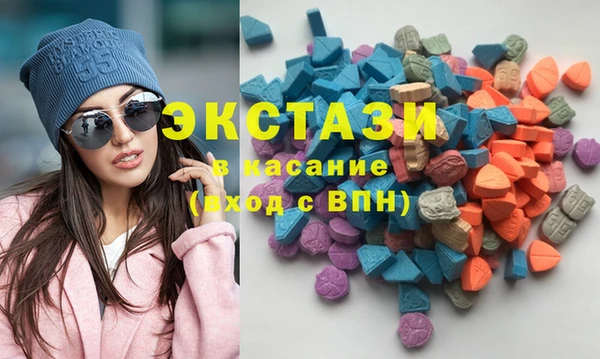 сатива Кулебаки