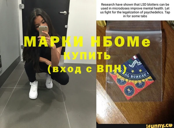 сатива Кулебаки