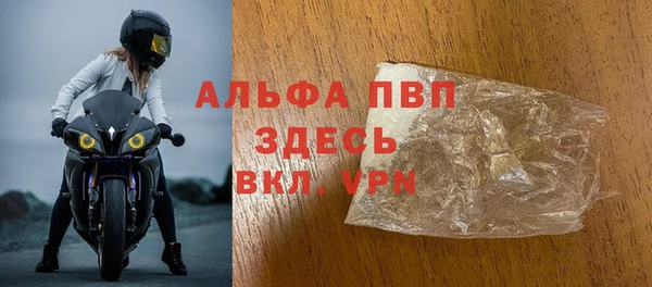 сатива Кулебаки