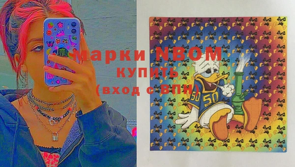 крисы Куйбышев