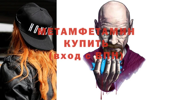 сатива Кулебаки
